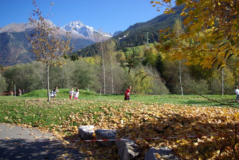 IMGP3768