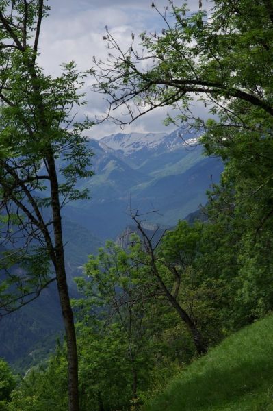IMGP5570