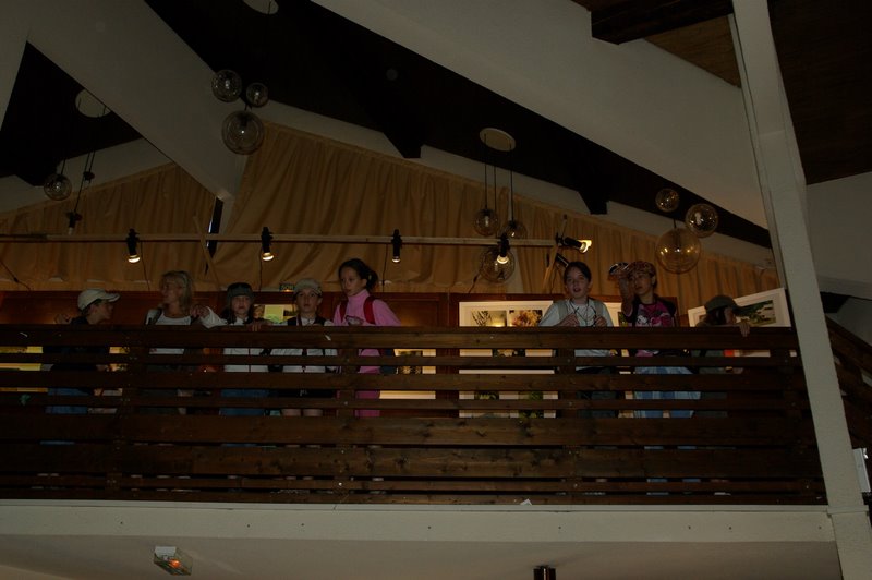 IMGP5687