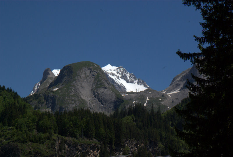 IMGP57251