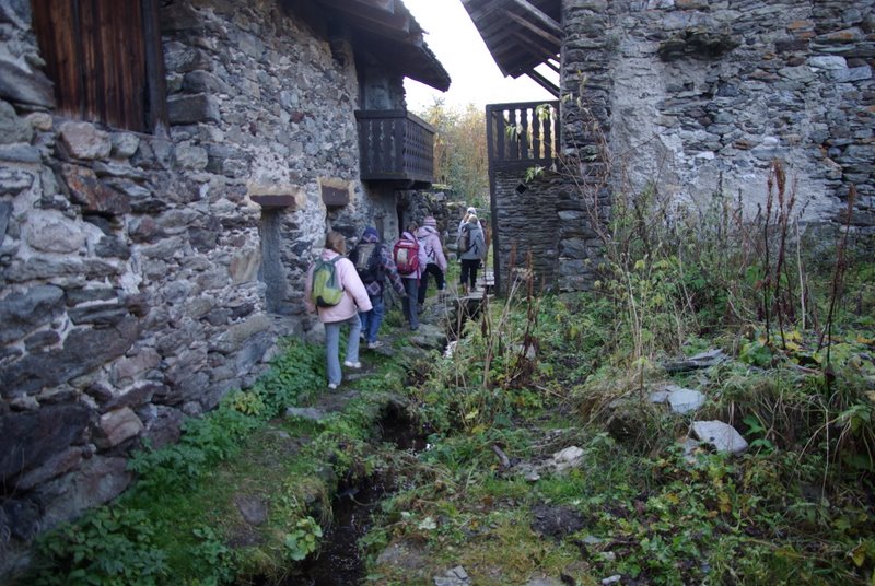 IMGP8928