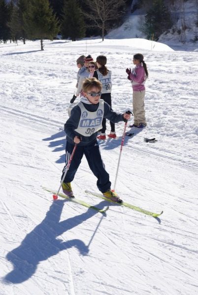 cantonal fond 31