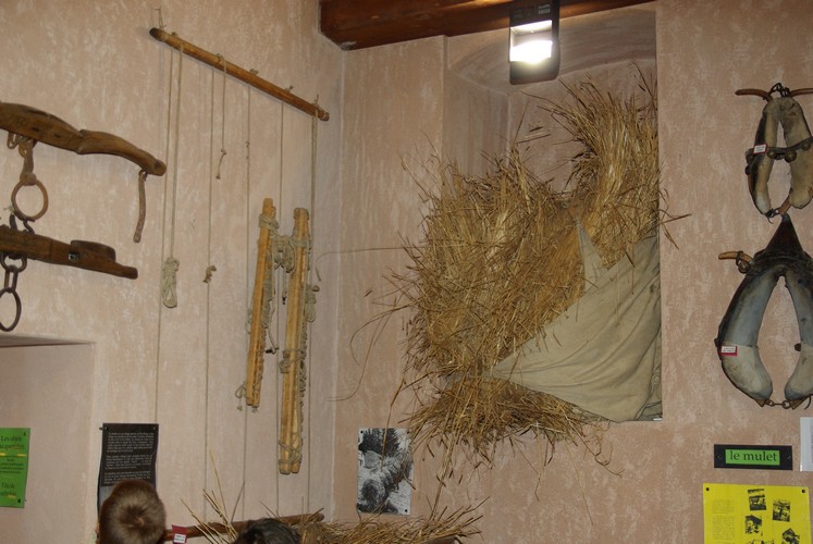 visite 013