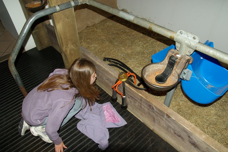visite 036