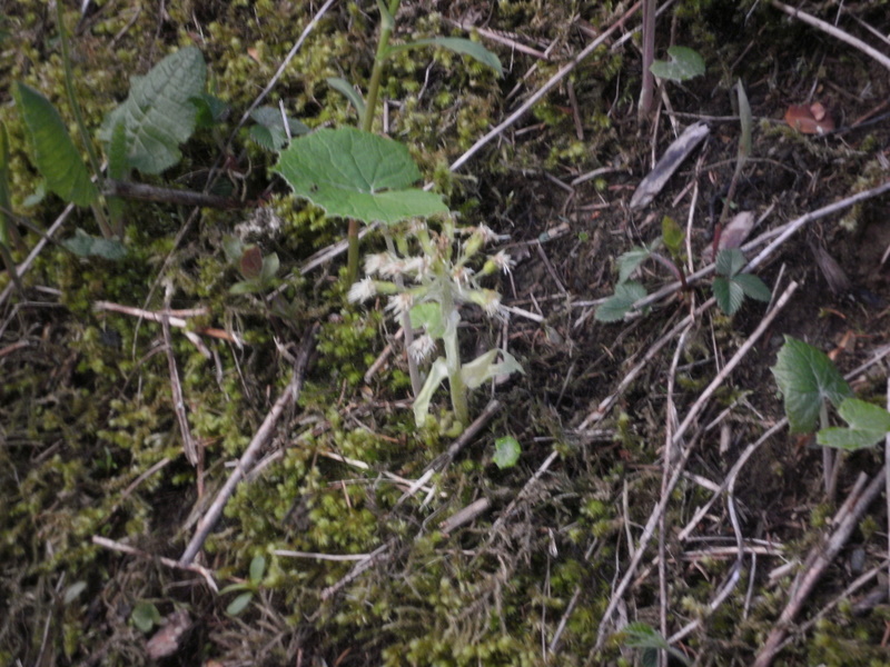 P6010023