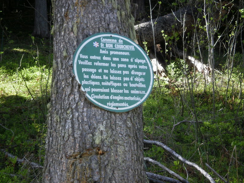 P6010027