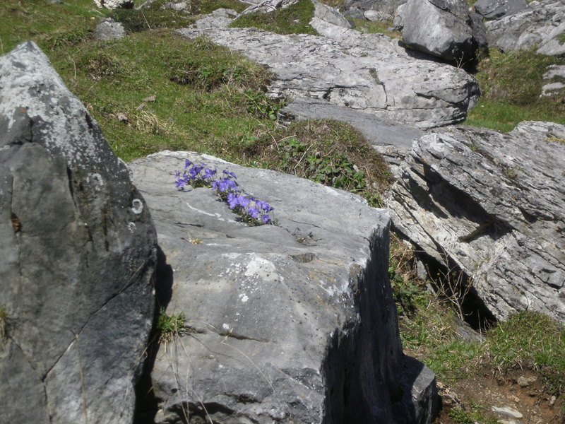 P6010066