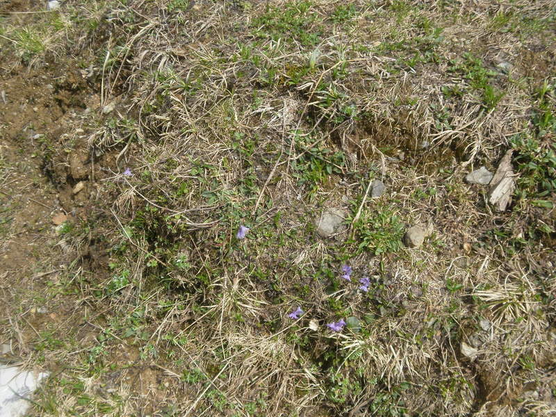 P6010075