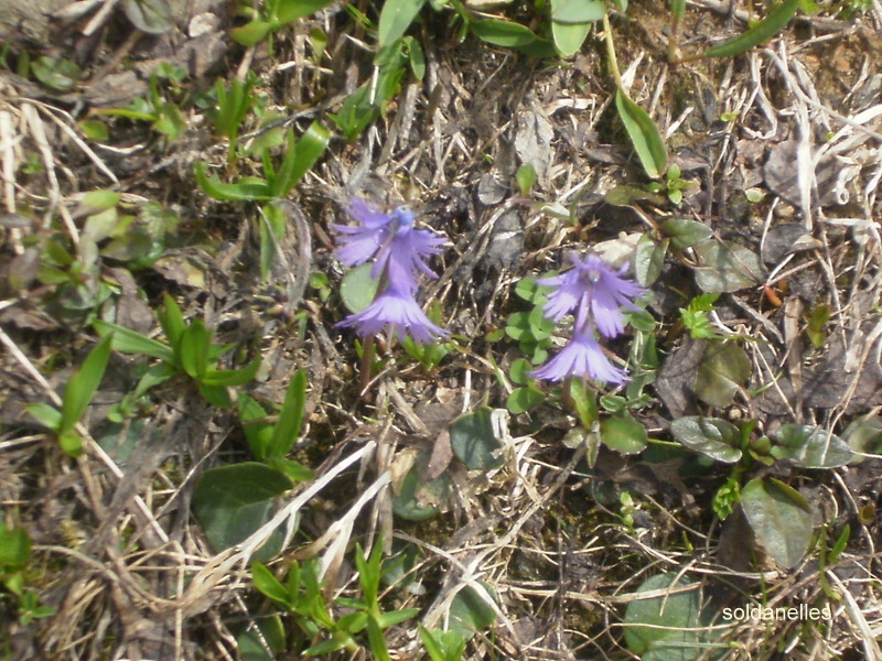 P6010076