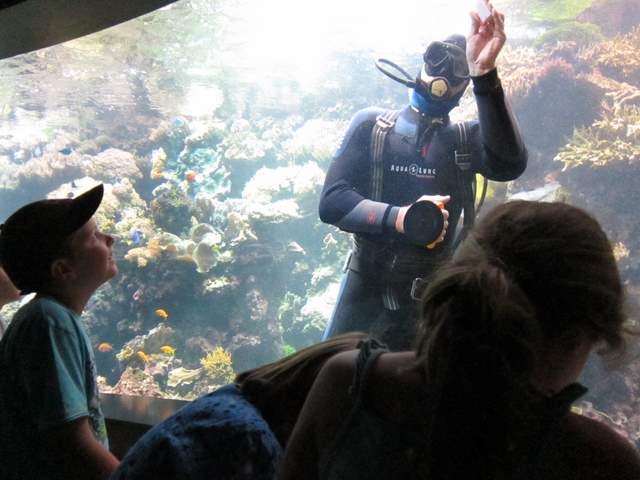 J4 oceanopolis 082