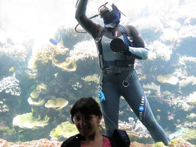 J4 oceanopolis 083