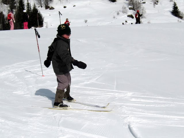 IMG 2861