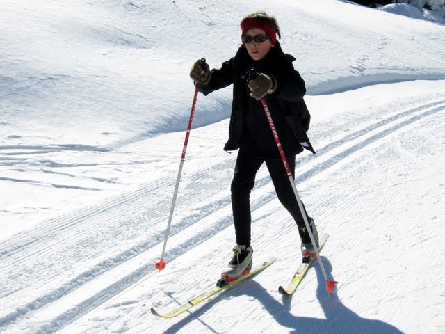 IMG 2911