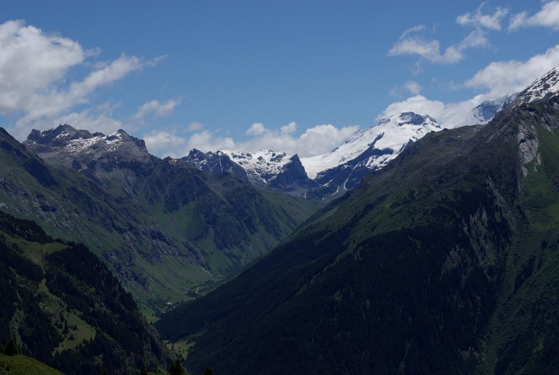 IMGP5447