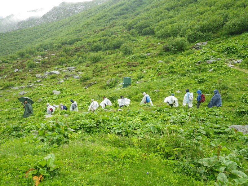 24-Tous en ponchos!!!