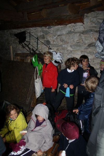 IMG 4246