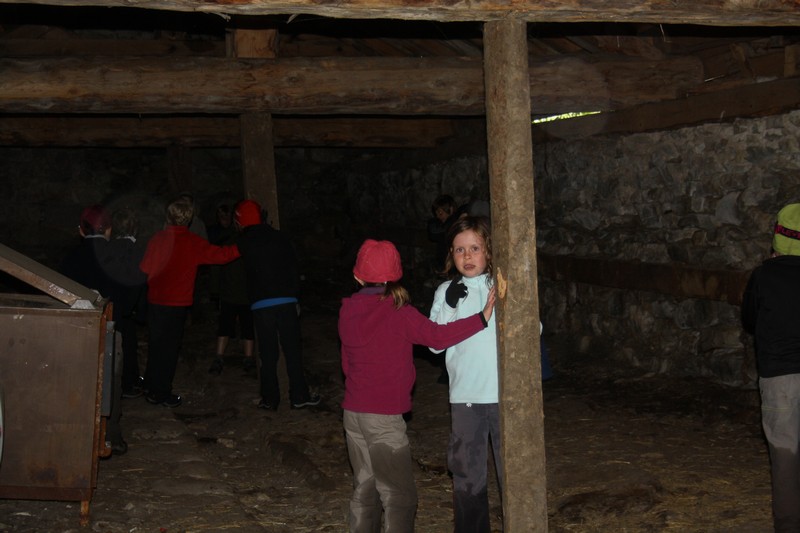 IMG 4252