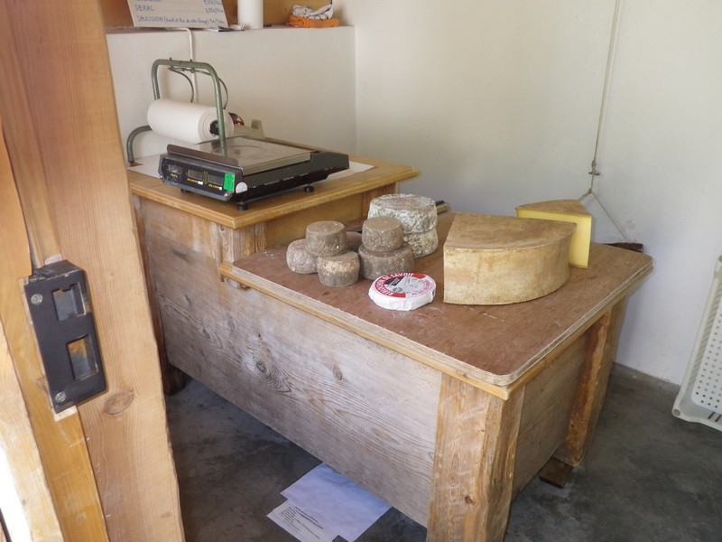 97-Visite de la fromagerie