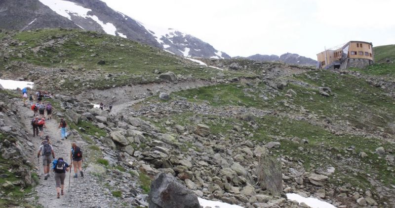 IMG 7036