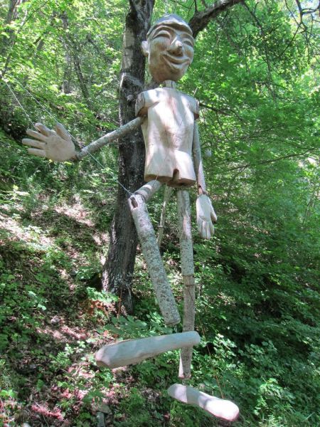 IMG 2850