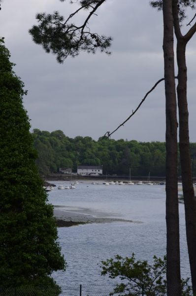 IMGP1605