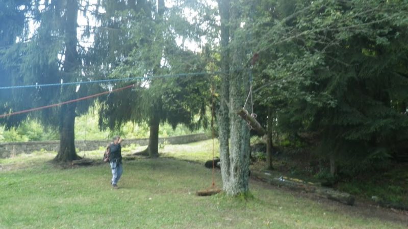 IMGP4482