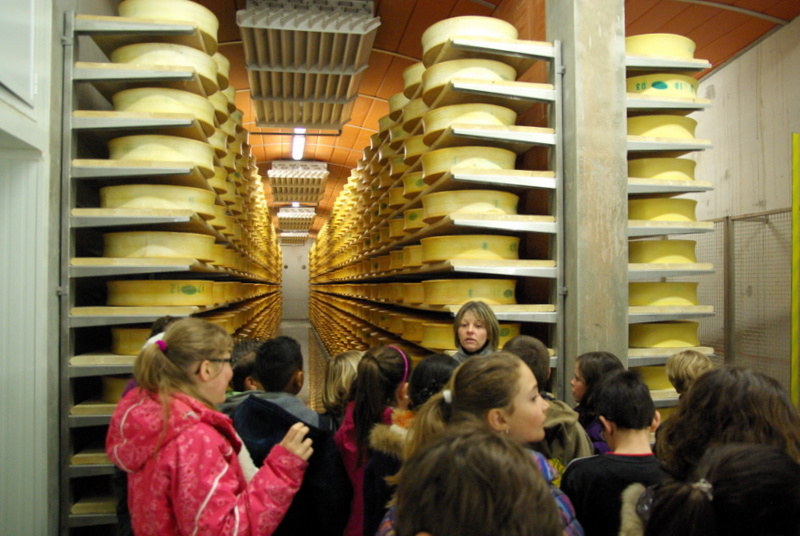 Visite 019