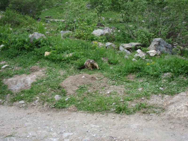 IMG 5525