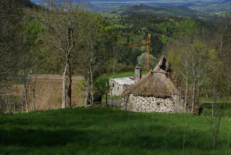 IMGP0578