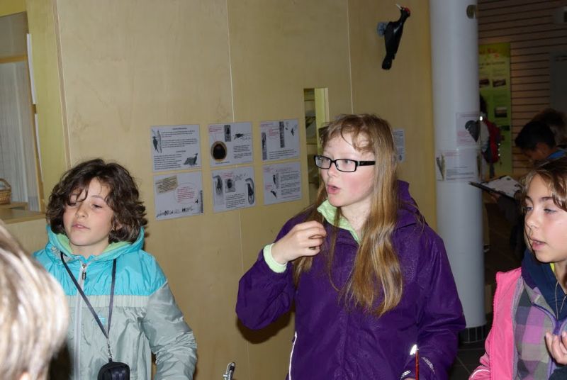 IMGP0739